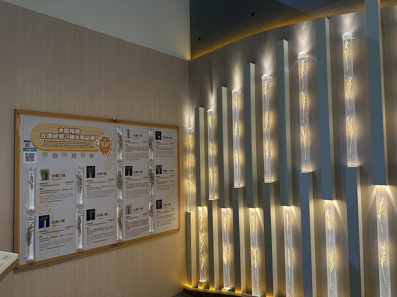 臺灣農業的故事-水稻造景牆