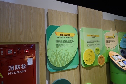 臺灣農業的故事-馴化與選拔育種