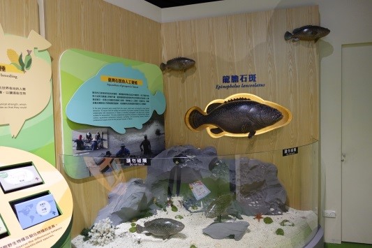 臺灣農業的故事-臺灣石斑魚人工養殖