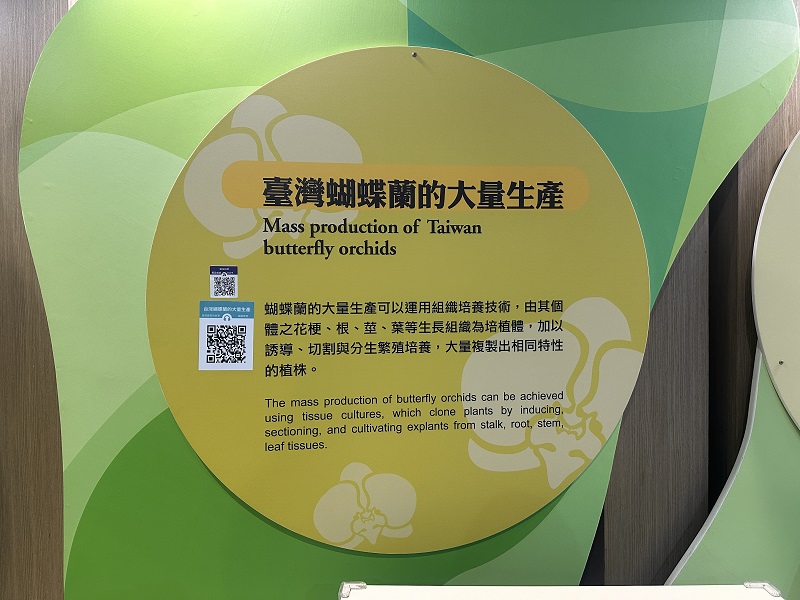 臺灣農業的故事-臺灣蝴蝶蘭的大量生產