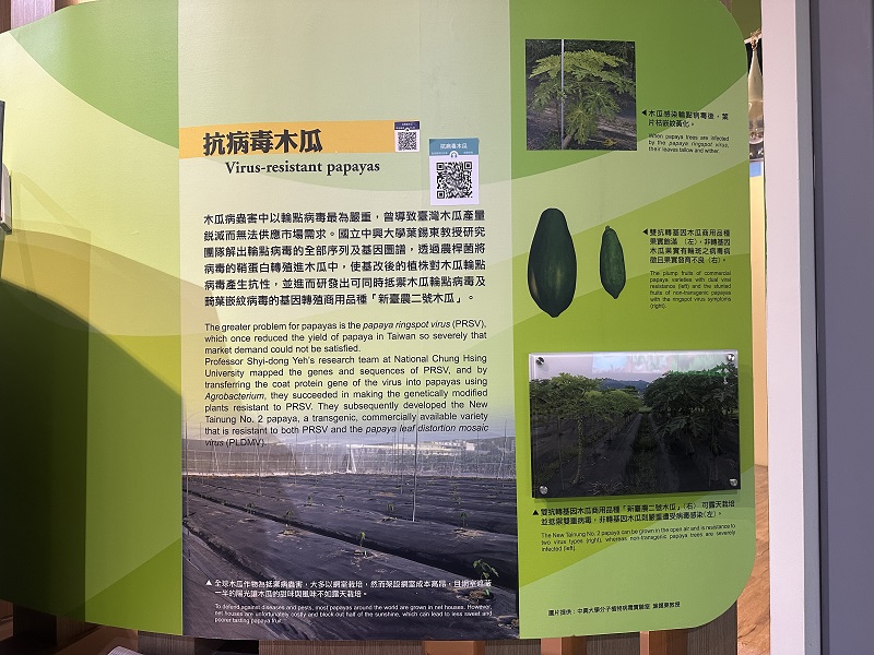 臺灣農業的故事-抗病毒木瓜