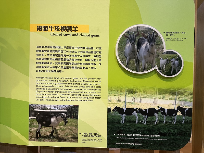 臺灣農業的故事-複製牛及複製羊